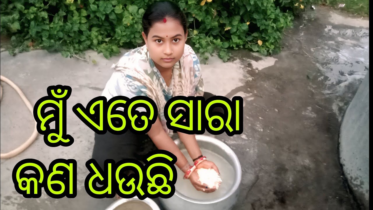 ମୁଁ ଏତେ ସାରା କଣ ଧଉଛି #subscribe #odiavolg #odisha #highlights #viral #food #youtube #like #support 