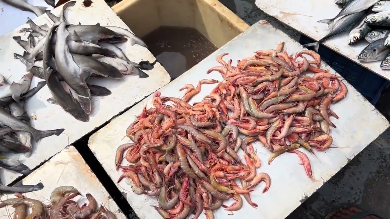 Malad Fish Market Sunday Morning like and Subscribe 🔔