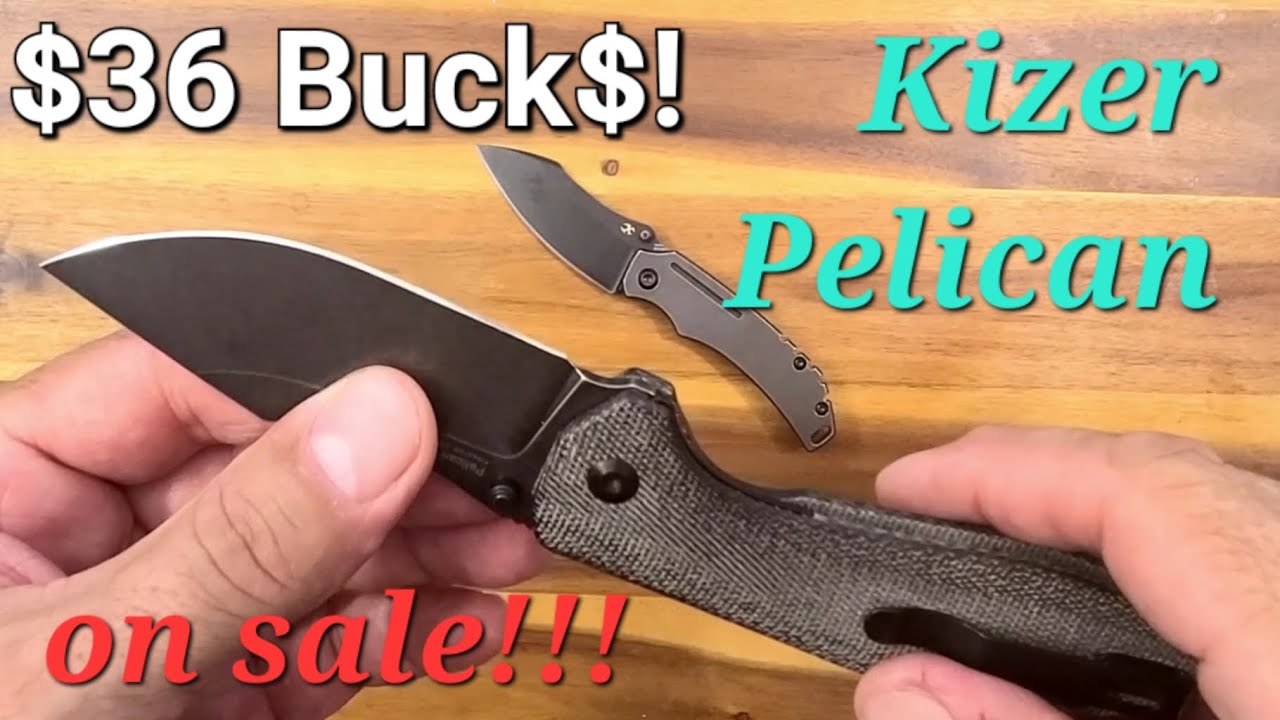 Kizer Pelican has a bent pocket clip!...But that's easier to fix than an election! Great ergos 2