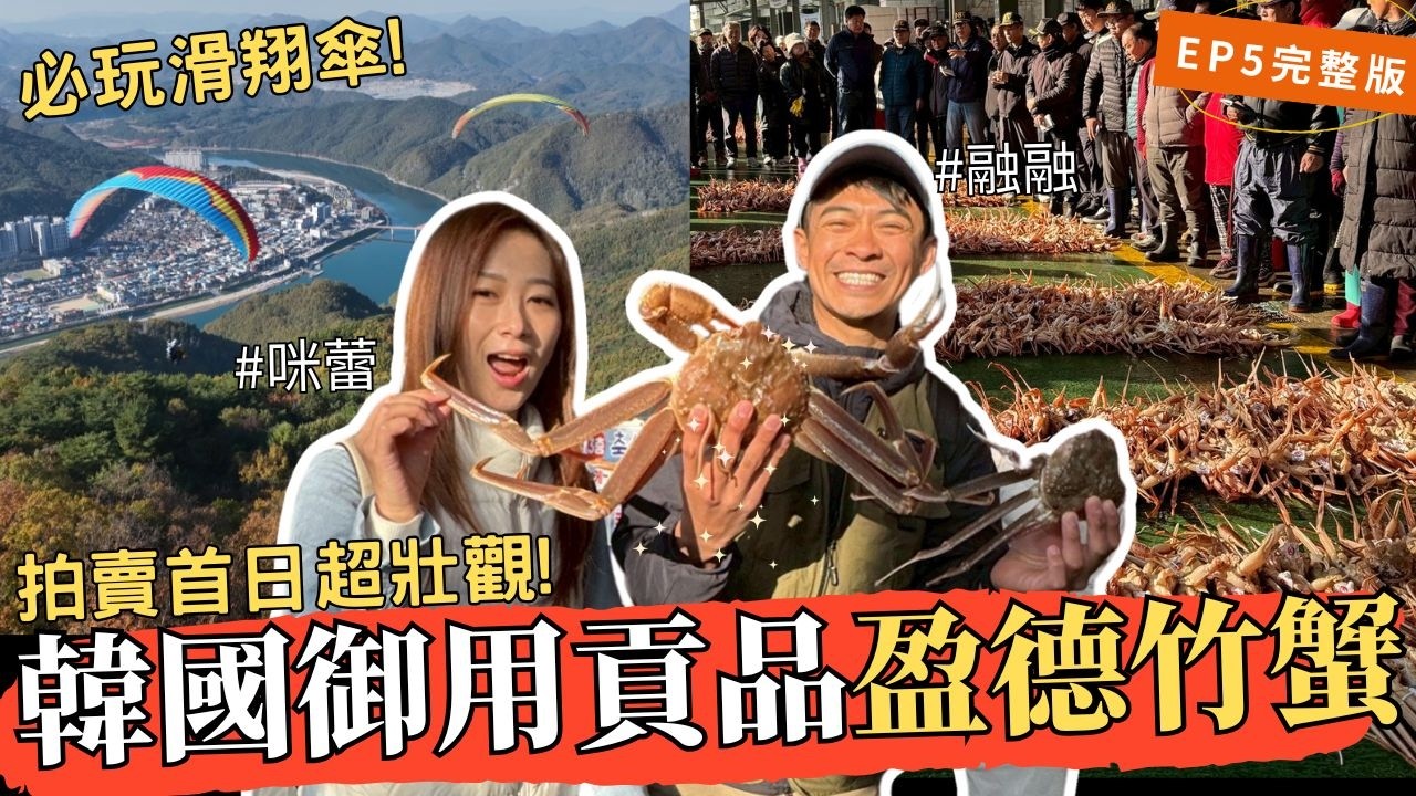 SUB【韓國5】螃蟹愛好者天堂!直擊拍賣首日竹蟹大豐收! 良洞村橡實凍大餐/獨島名蝦生吃一隻萬元/丹陽挑戰滑翔傘俯瞰最美景致 ｜自由的旅行者 S2 EP12《完整版 》  #融融 #咪蕾 #自駕