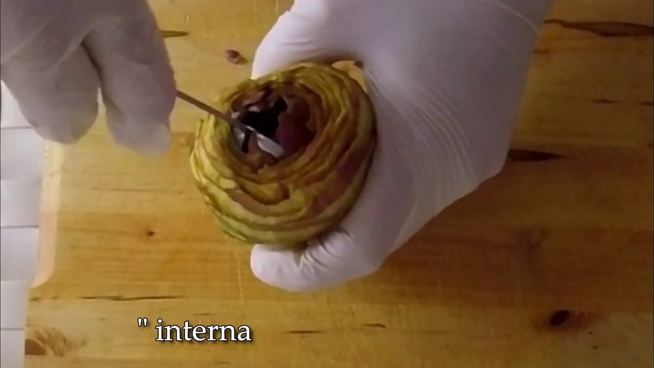 Tutorial: come pulire i carciofi romaneschi (mammole, cimaroli) e i carciofi violetti chicco di mais