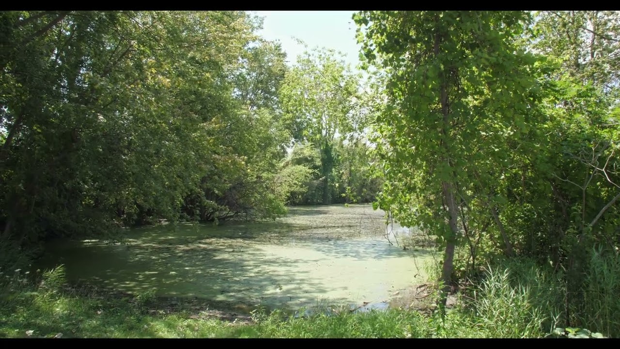 Lake Erie Metropark (2020)