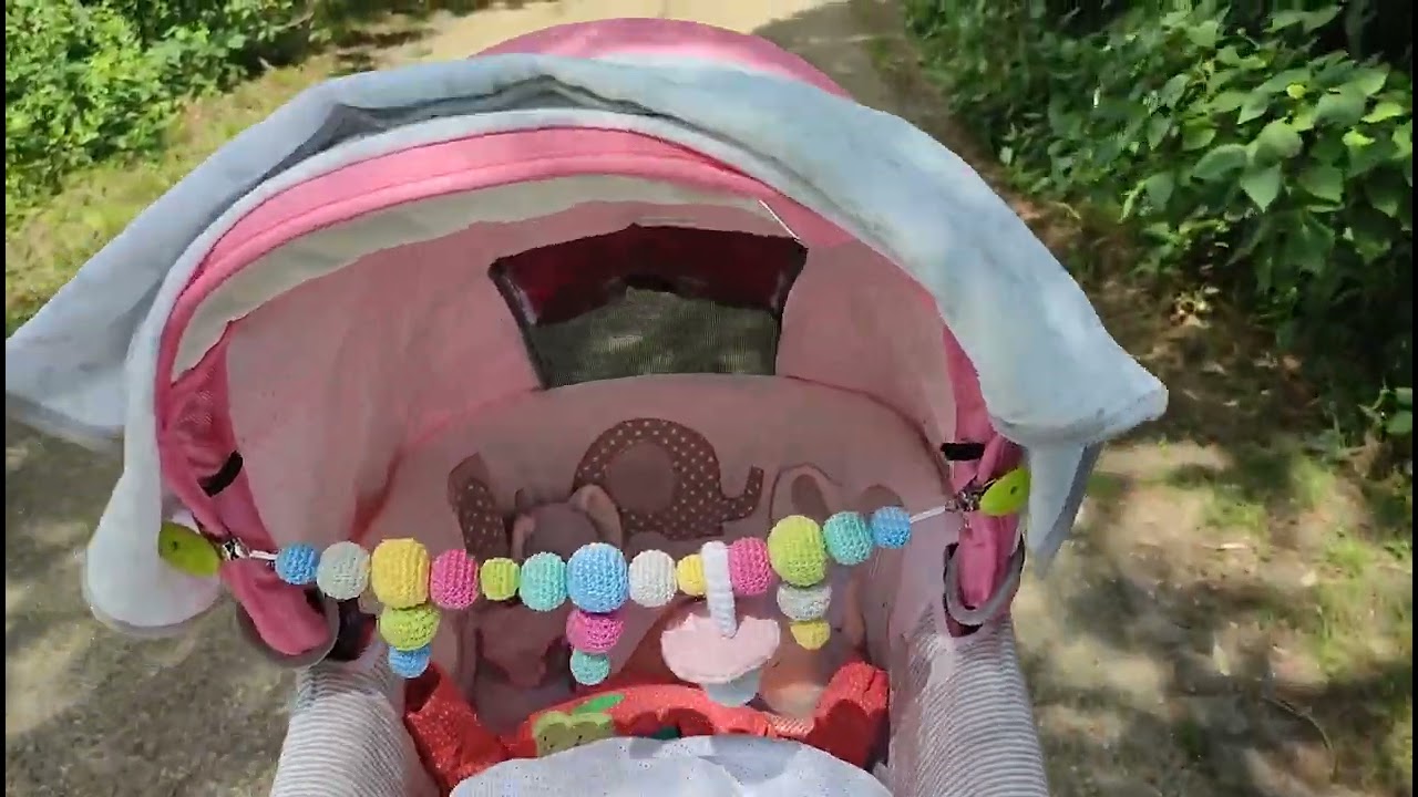 Spaziergang und Schwanenfamilie am 3.6.25
