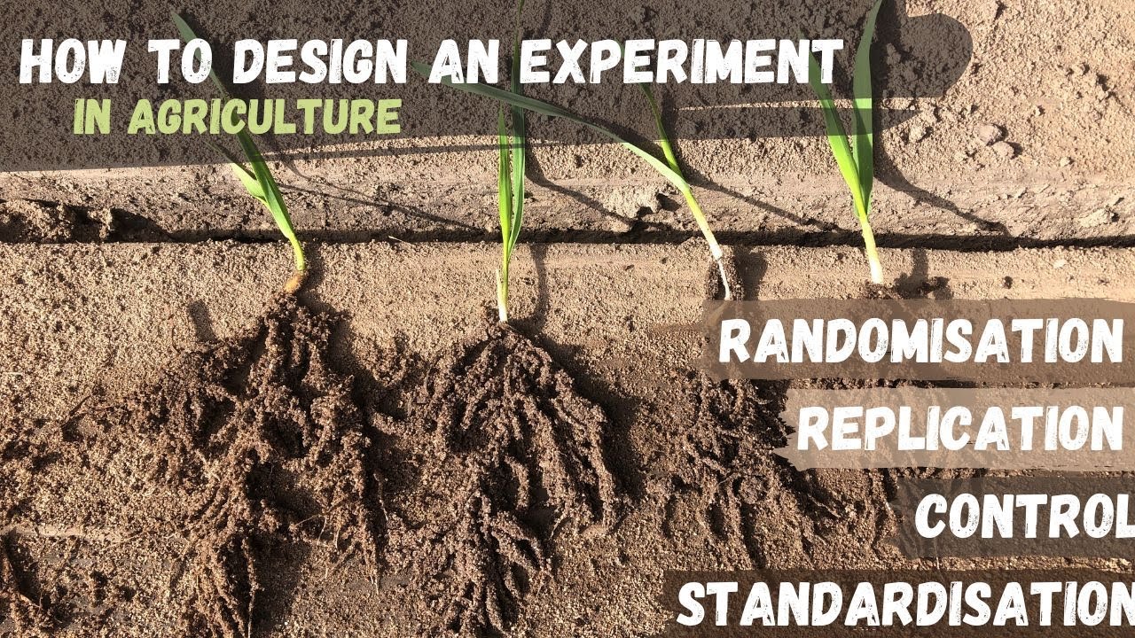 How to design an experiment in Agriculture| Randomisation, Replication, Control & Standardisation