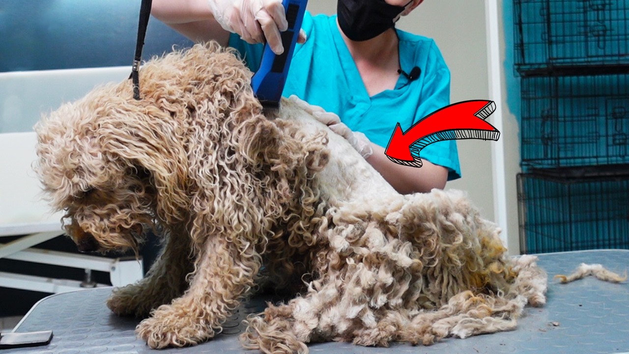 His Condition Was Worse Than I Imagined