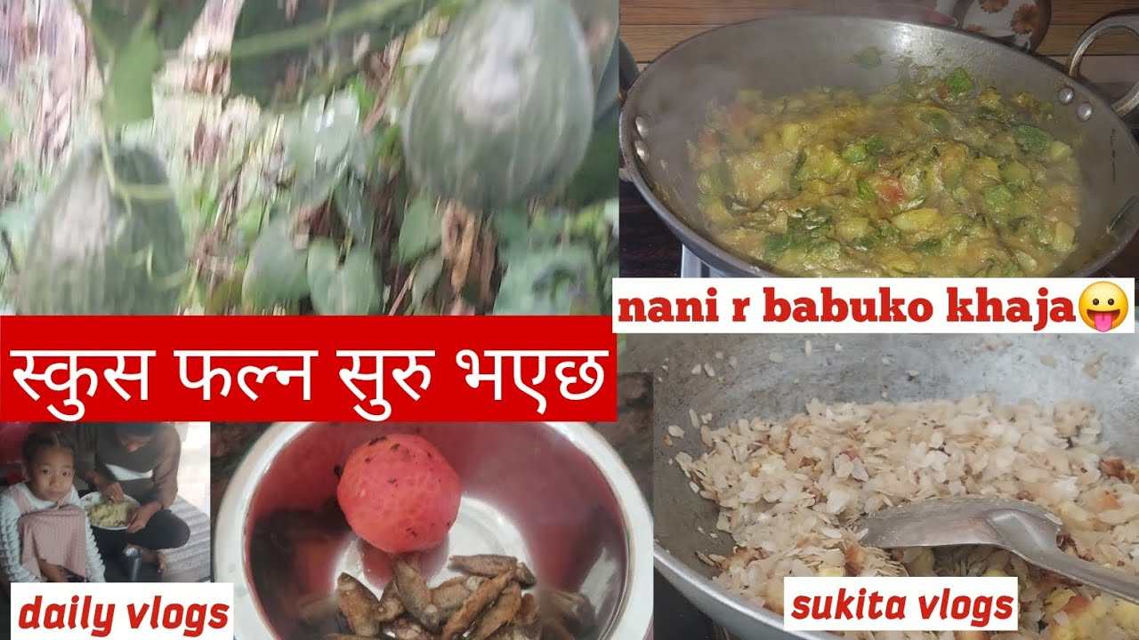अहिले जाडो सिजनमा पनि स्कुस फल्ने रहेछ@SUKITA VLOGS