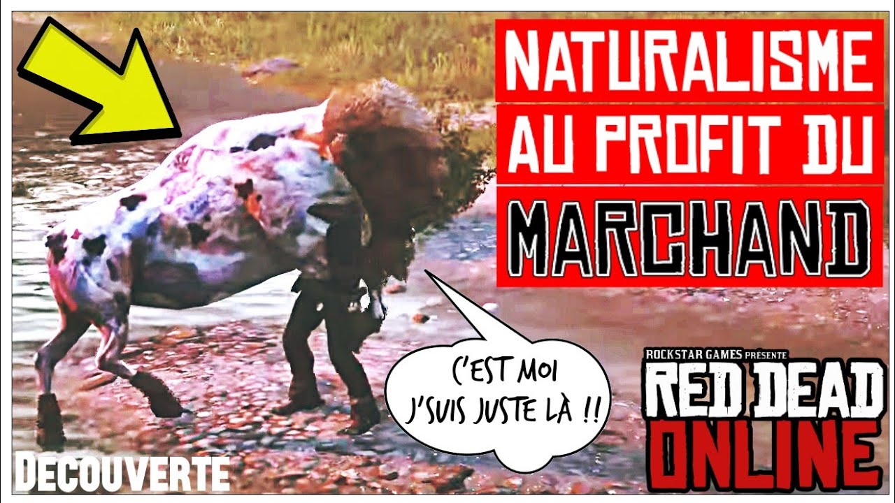 🃏JOHN OPTIMISE SON ÉTAL DE BOUCHER | Red Dead Online | Rentabilité & Braconnage