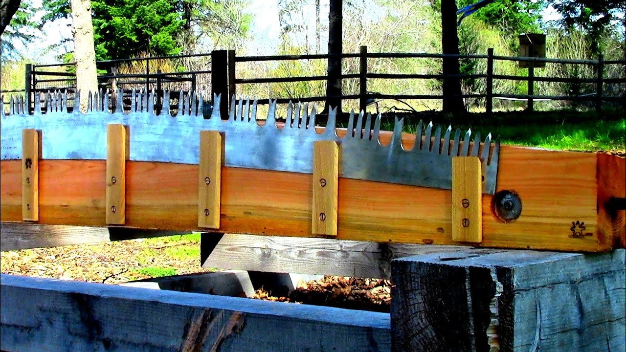 Crosscut Saw Vise 3.0 - Wranglerstar