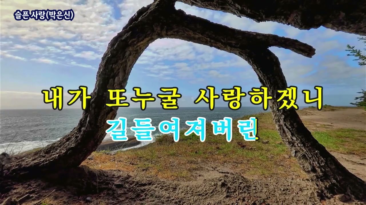 슬픈 사랑(박은신), #가요, #노래, #휴식, #힐링, #shorts, #잔잔한, #발라드, #조용한, #기쁨, #kpop