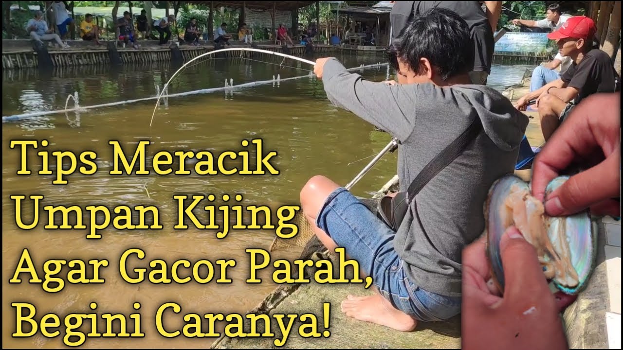Trik_Cara Meracik Umpan Kijing Biar Gacor Parah..Galatama Lele