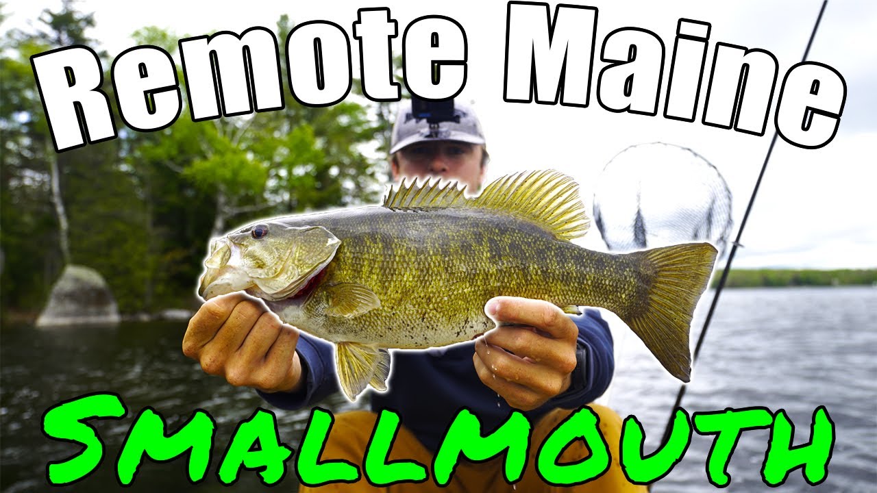 Smallmouth Bass Fishing in REMOTE MAINE for 4 DAYS!!