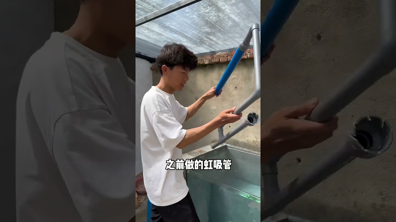 小达的养鱼日记，建鱼池容易，想养好鱼可真难呀！#记录真实生活 #养鱼池 #锦鲤