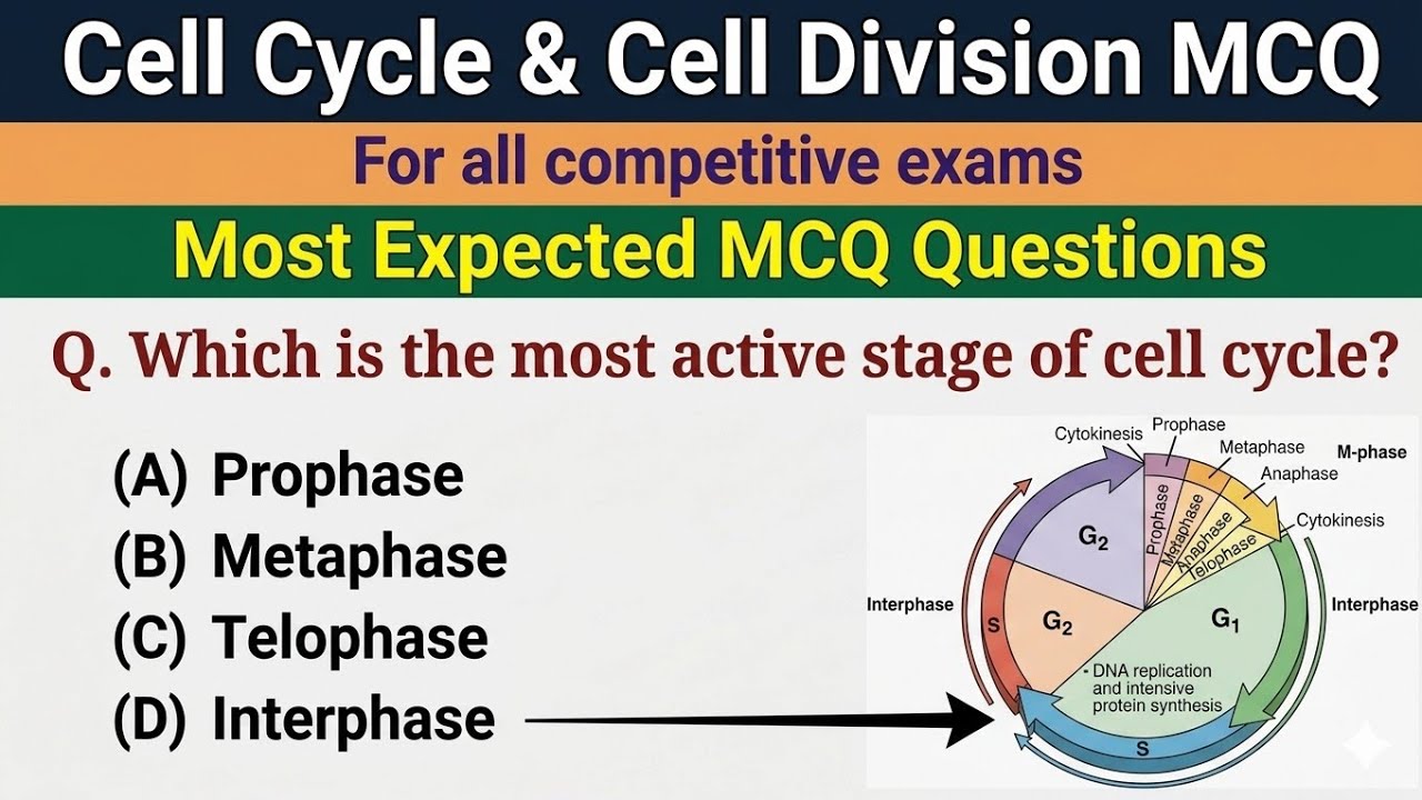 cell division mcq - mcq on cell cycle and cell division - Part 1