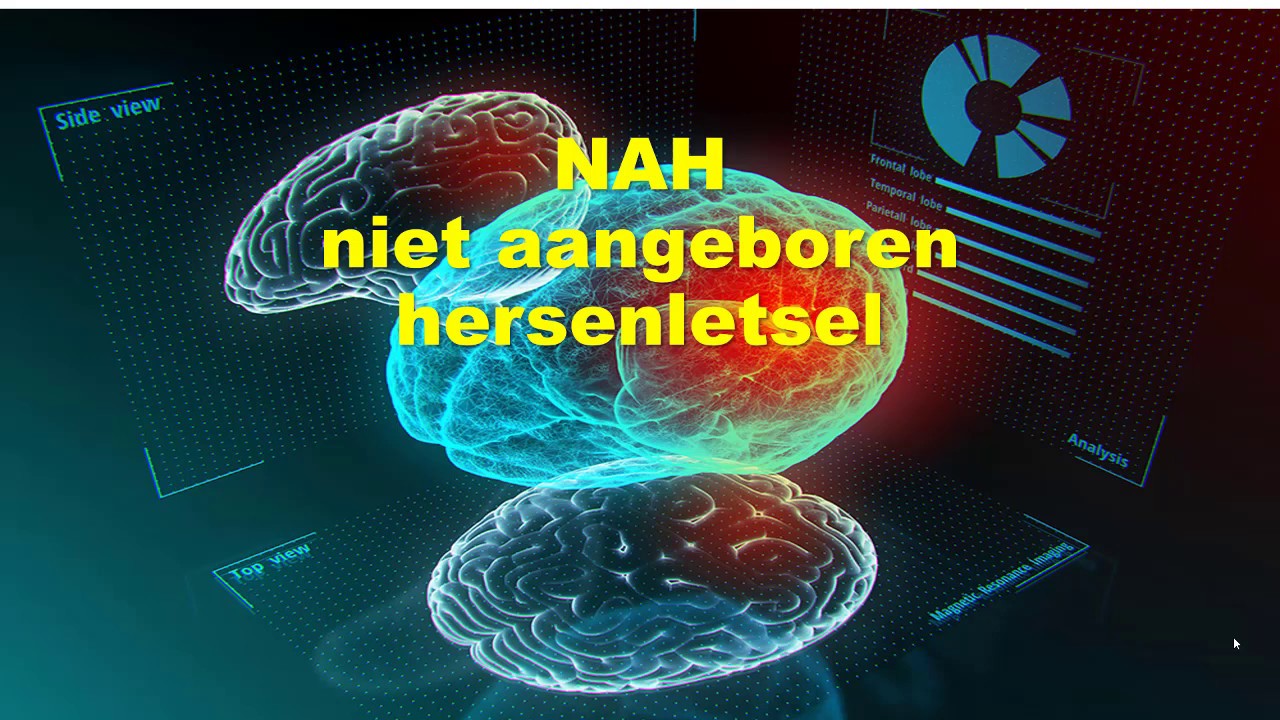 NAH niet aangeboren hersenletsel