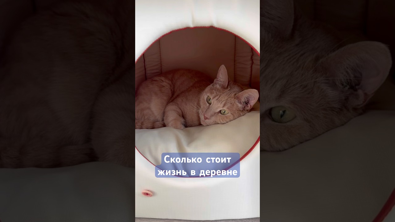 СКОЛЬКО СТОИТ ДЕРЕВЕНСКАЯ ЖИЗНЬ #деревенскаяжизнь #деньги