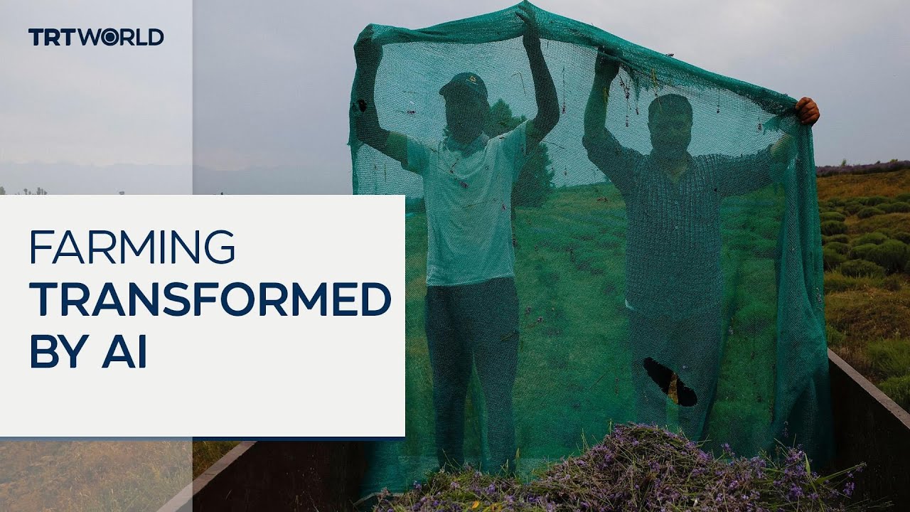 AI tools could change farming methods in India