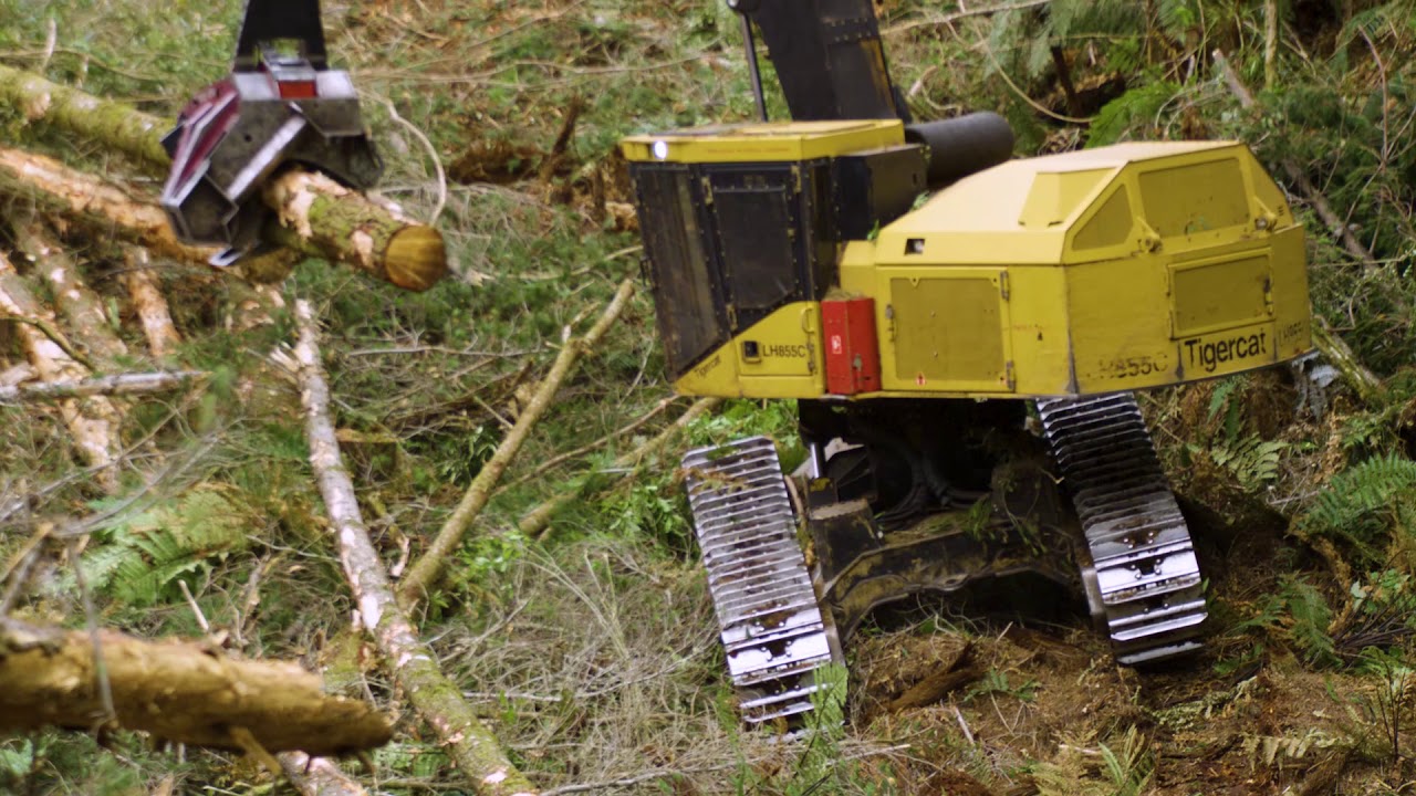 Mini-doc: Steve Yeoman, Volcanic Plateau Logging