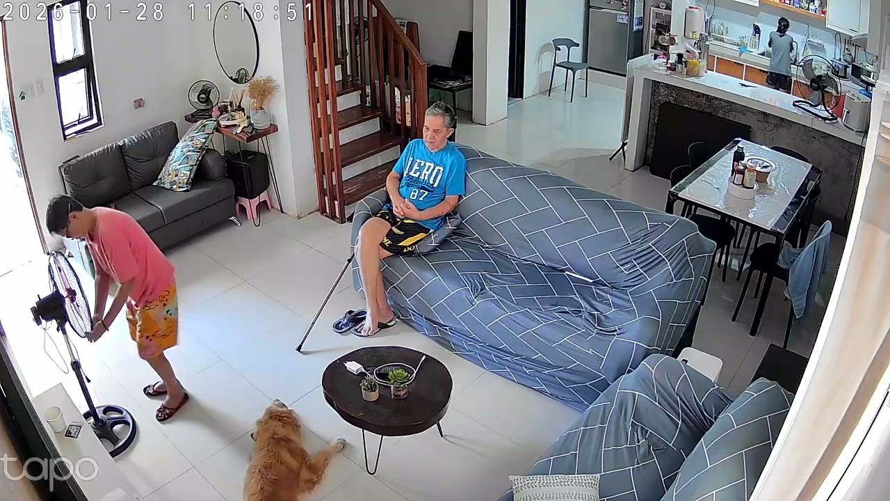 #loveanimals