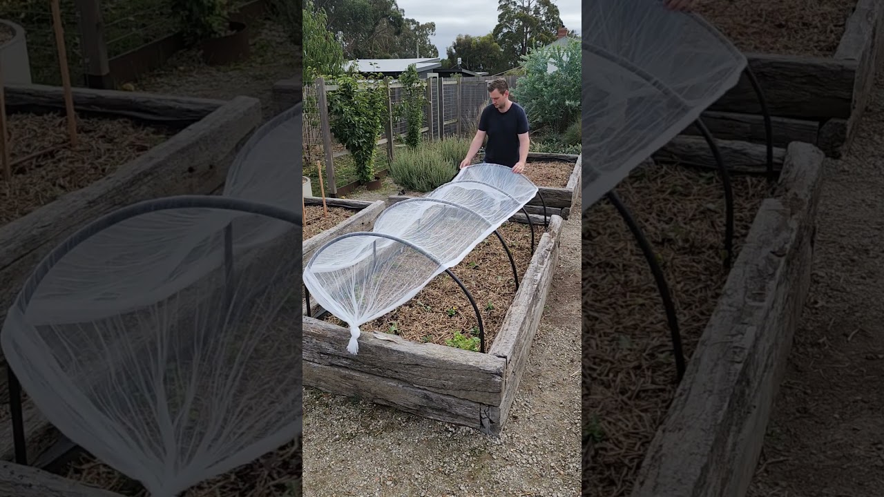 Lets build this cheap and easy garden netting together #gardening