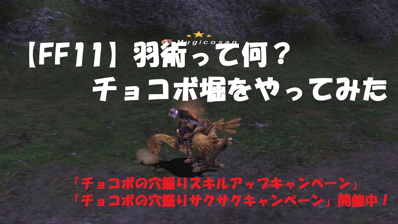【FF11】羽術って何？チョコボ堀をやってみた