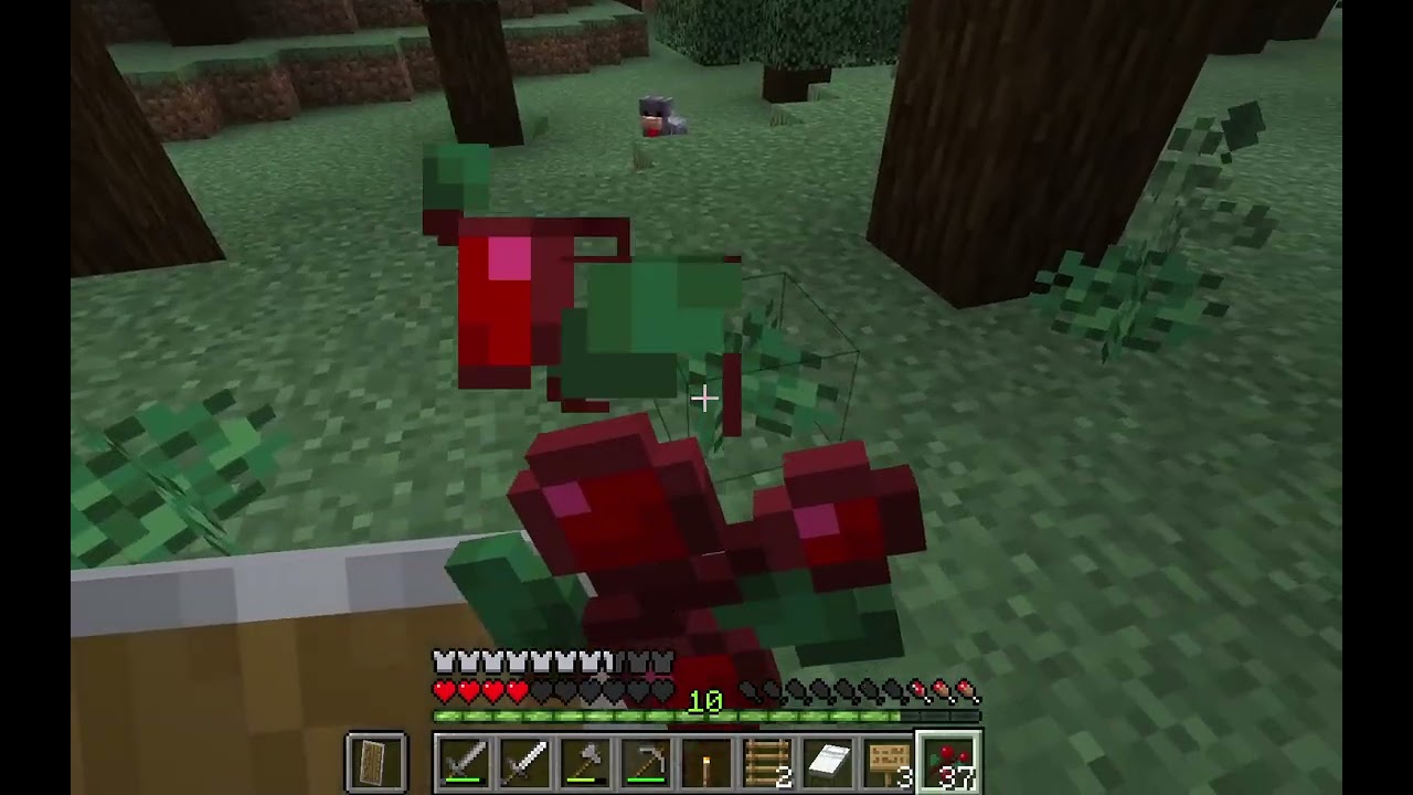 Minecraft Überleben /005