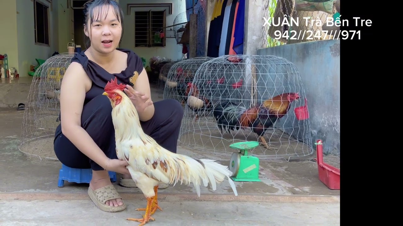 6 bé 1🍠4 bao ship Xuân Trà Bến Tre