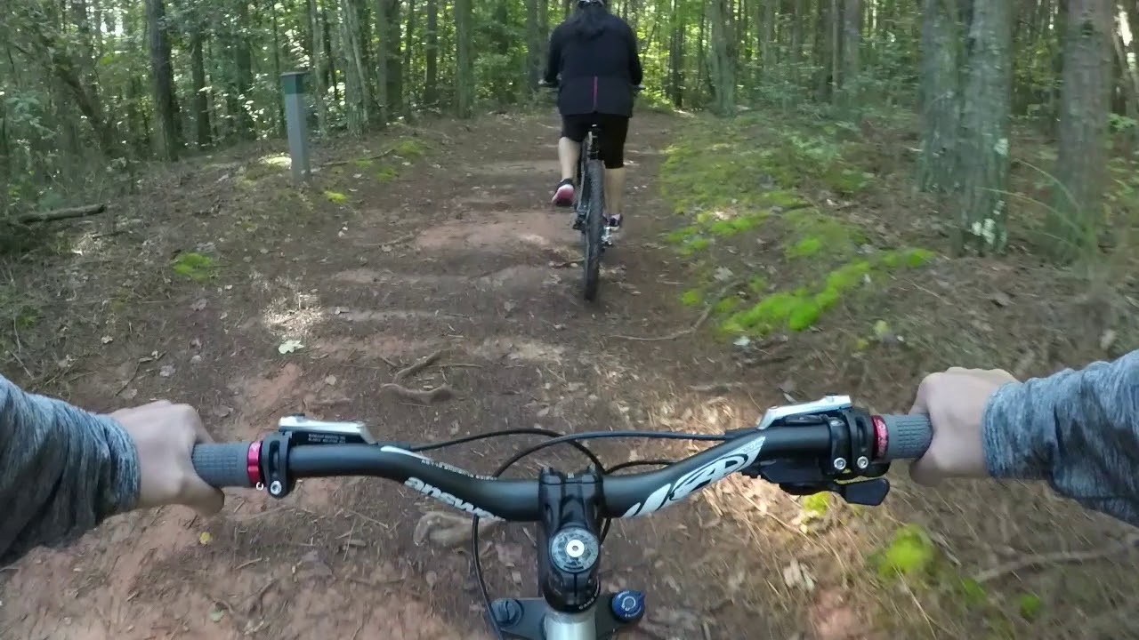 Jedediah Smith Memorial Trail/ California