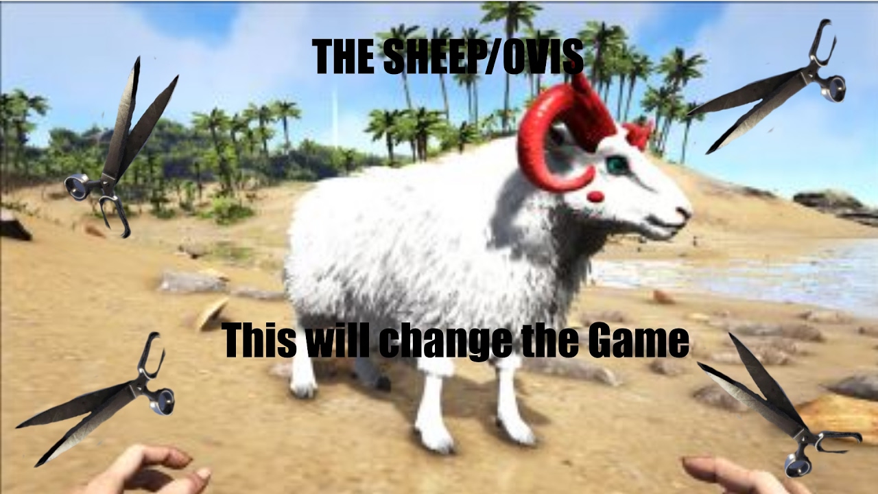 BEST CREATURE EVER ADDED | Everything about the Sheep/Ovis Ark: Survival Evolved