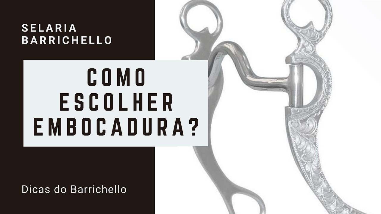 COMO ESCOLHER A EMBOCADURA IDEAL? (parte 1)