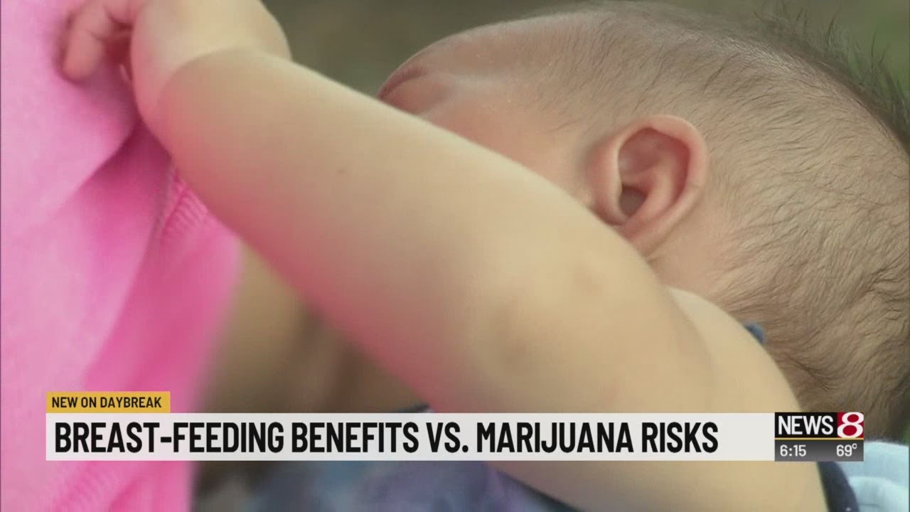 New research weighs the benefits of breastfeeding to the risk of a mother's marijuana use