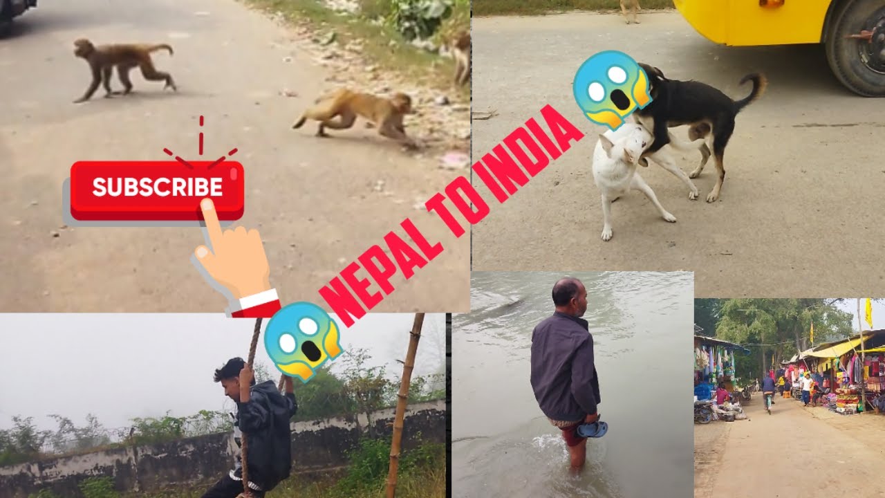 😱|| nepal to india ||😱😱|| dhngadhi to bangau ||😱#travel #funny