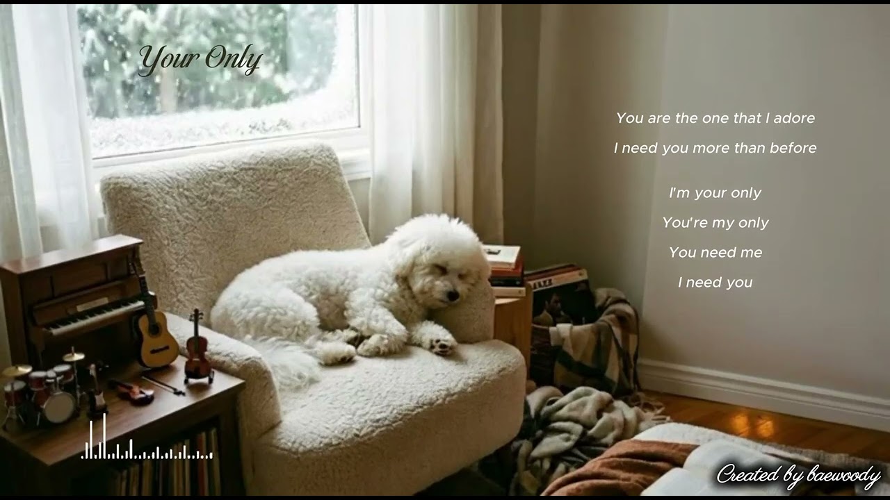 JAZZ l 포근한 배우디 곁에서 즐기는 가장 따뜻한 시간, ‘Bichon Jazz'
