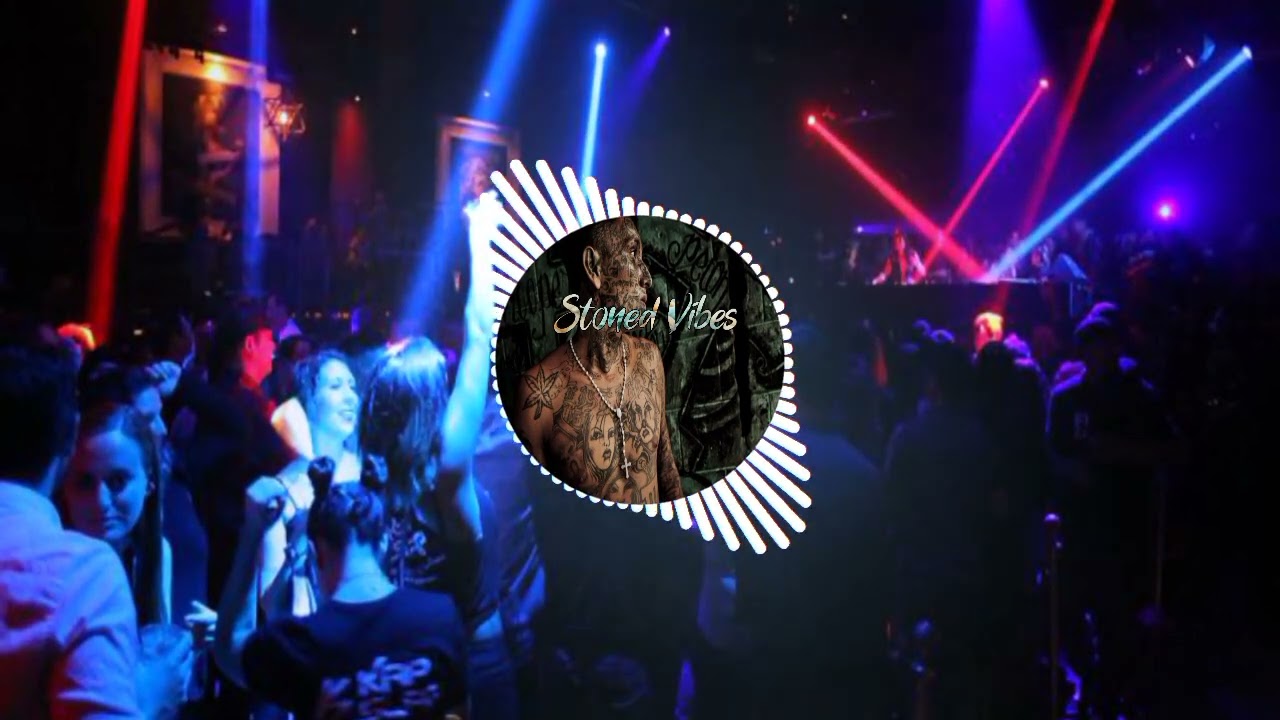 SHIPA VUZz - (DJKL) G2S 2024