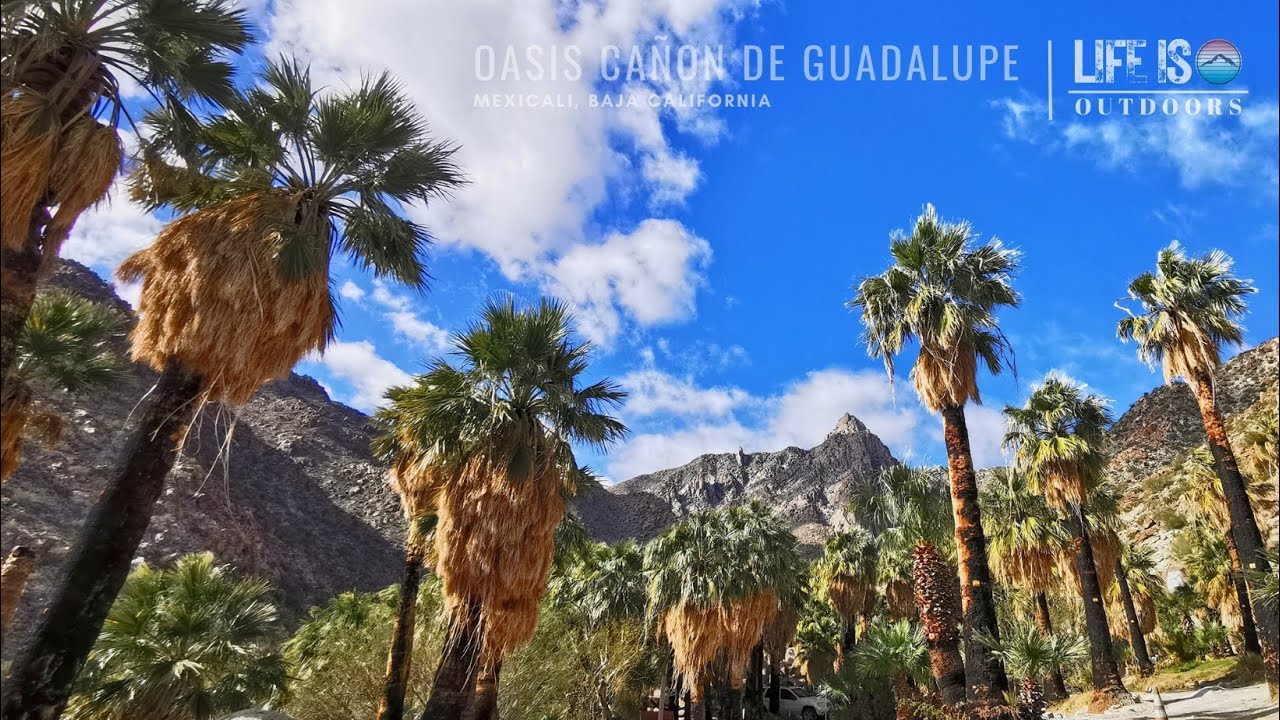 Un Oasis en el Desierto!! Cañon de Guadalupe...