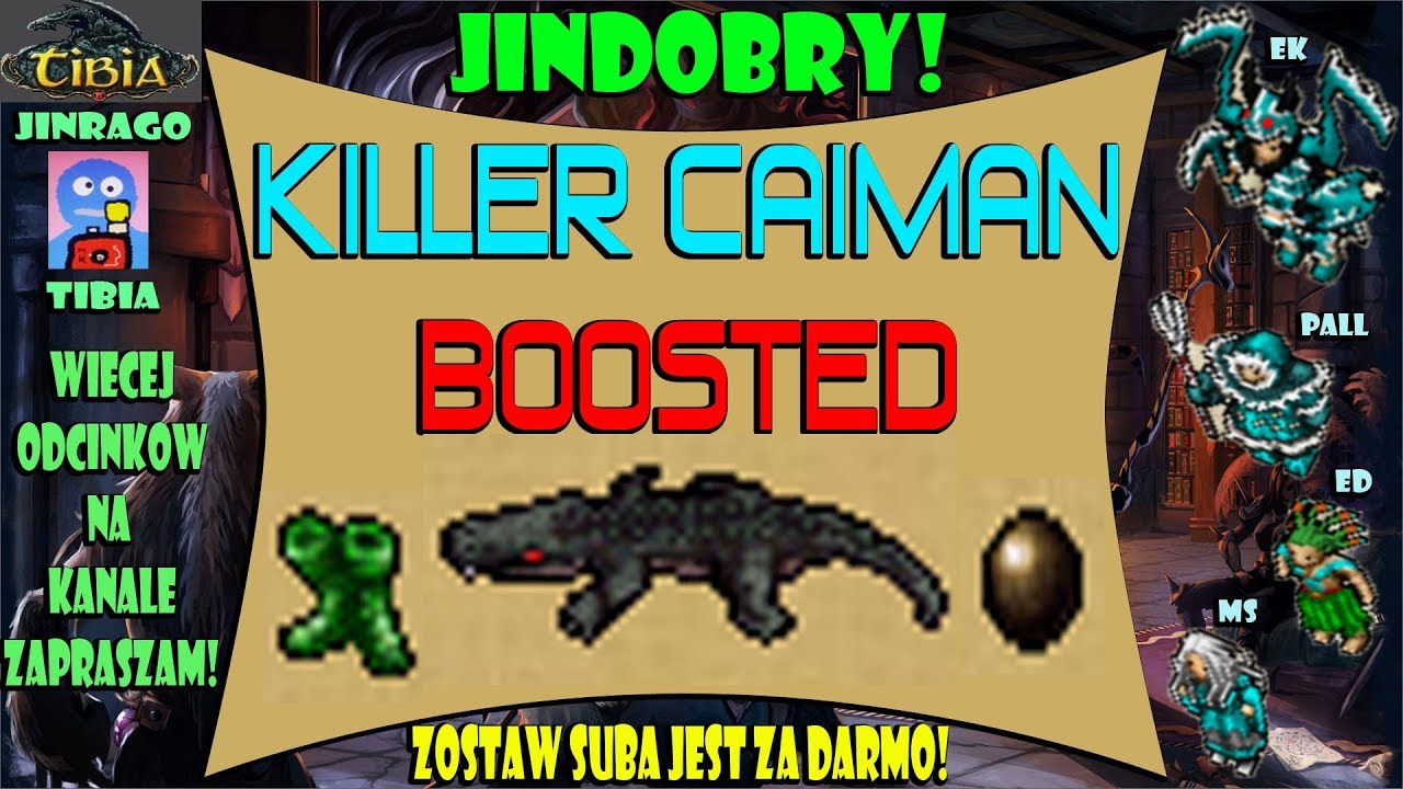 Tibia - Killer Caiman Boosted 164 EK-spowiska 1,2kk/h exp