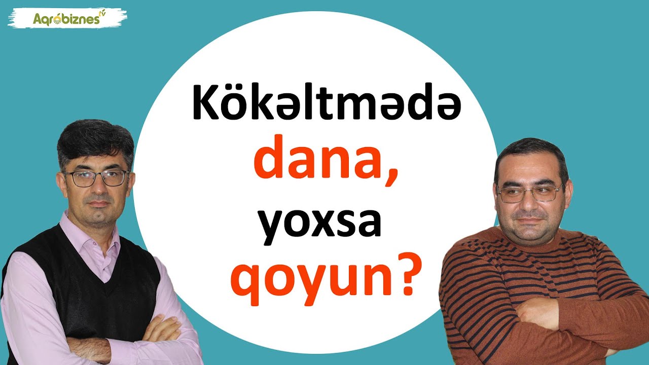Danalar niyə kökəlmir?
