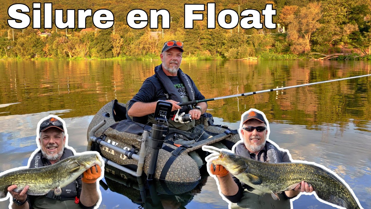 La pêche du Silure