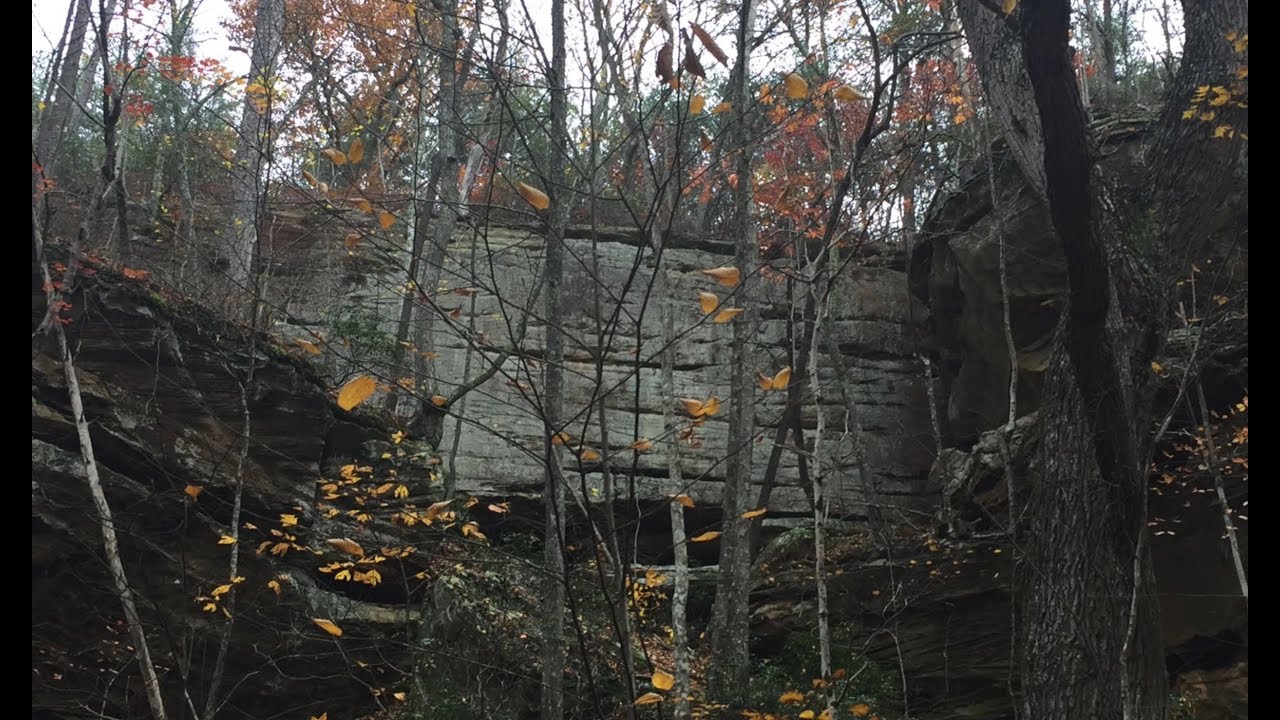 Sheltowee Trace 6: Hale Ridge to Turkeyfoot and S-Tree Campgrounds