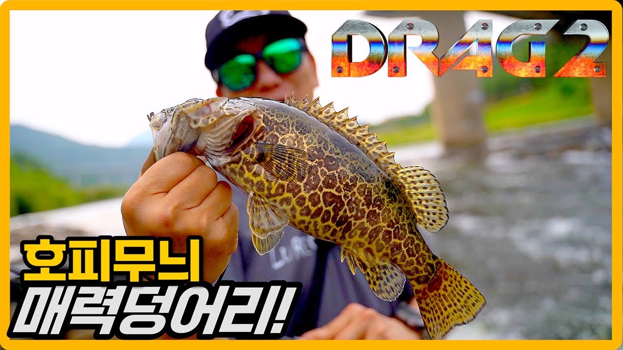 끊임없이 낚는 쏘가리! 이 맛에 쏘가리 낚시 하지 [드랙2 EP.54]
