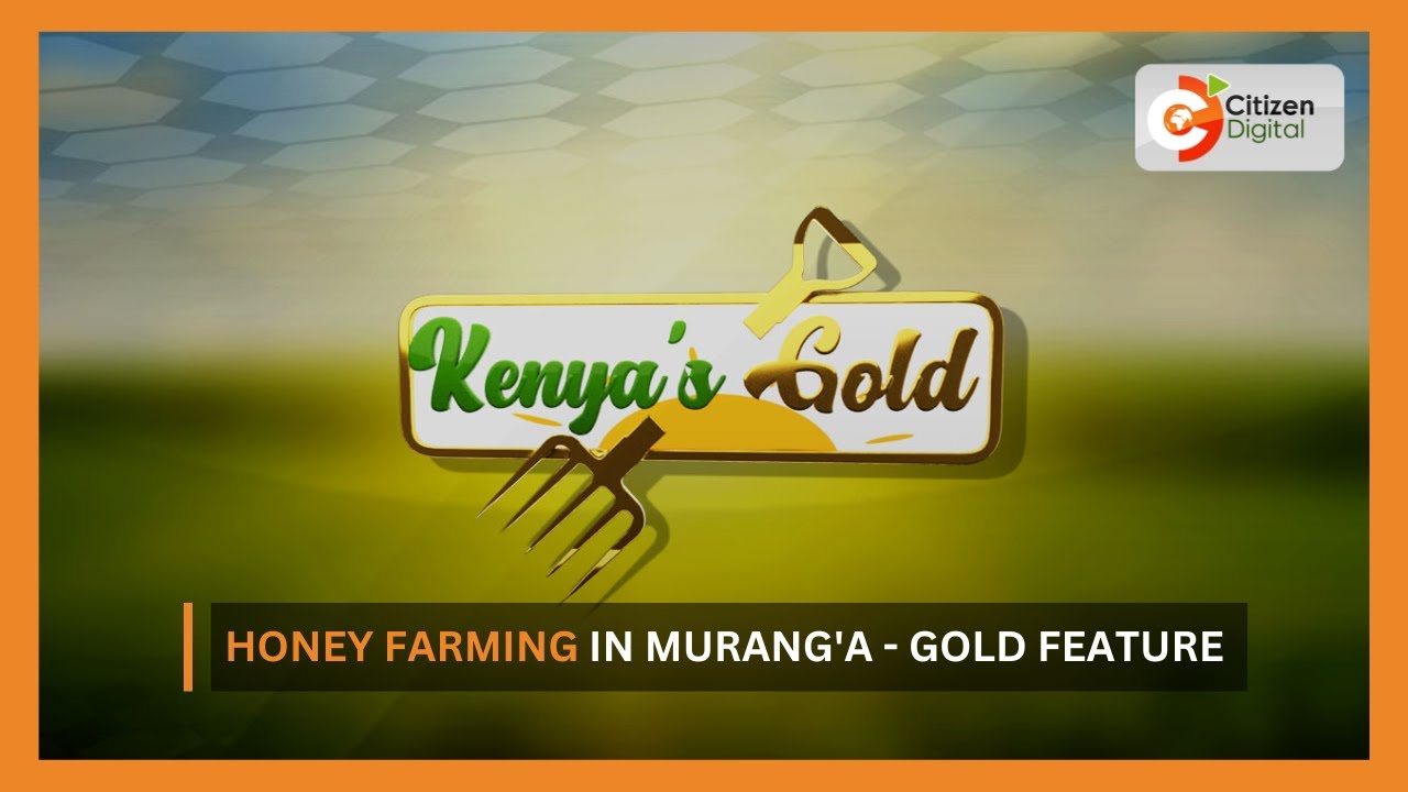 | Kenya's Gold | Honey Farming in Murang'a - Gold Feature