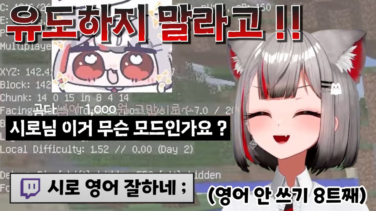 입에서 계속 영어가 나와서 울부짖는 고양이