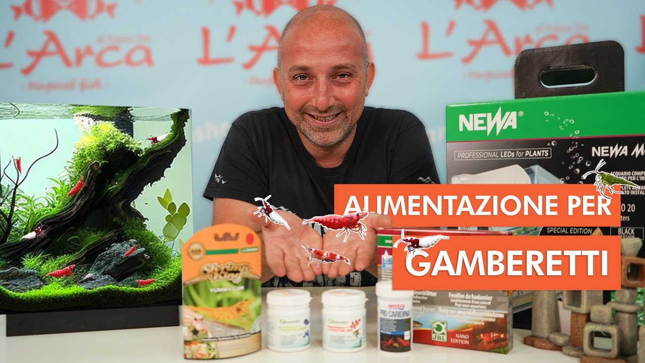 Come alimentare i Gamberetti 🦐 | Miglior cibo per Caridine e Neocaridine