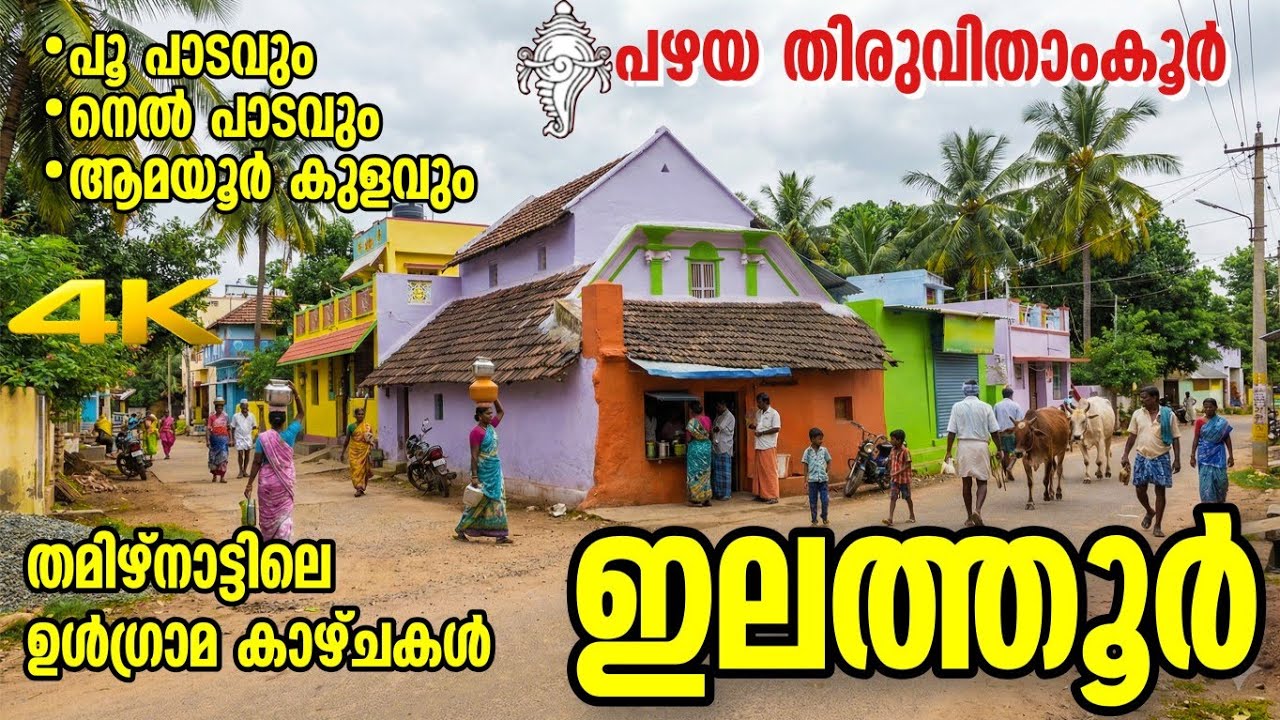 തെങ്കാശിയിലെ ഉൾഗ്രാമ കാഴ്ചകൾ | ഇലത്തൂർ | Elathur 