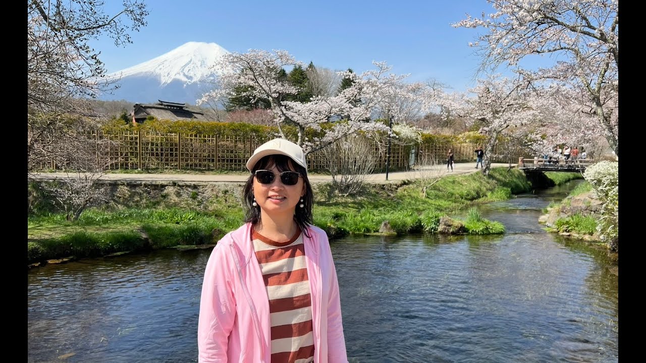 How I did my Japan Tokyo 4 days tour, Tokyo cherry blossom, 日本东京樱花盛开游玩攻略