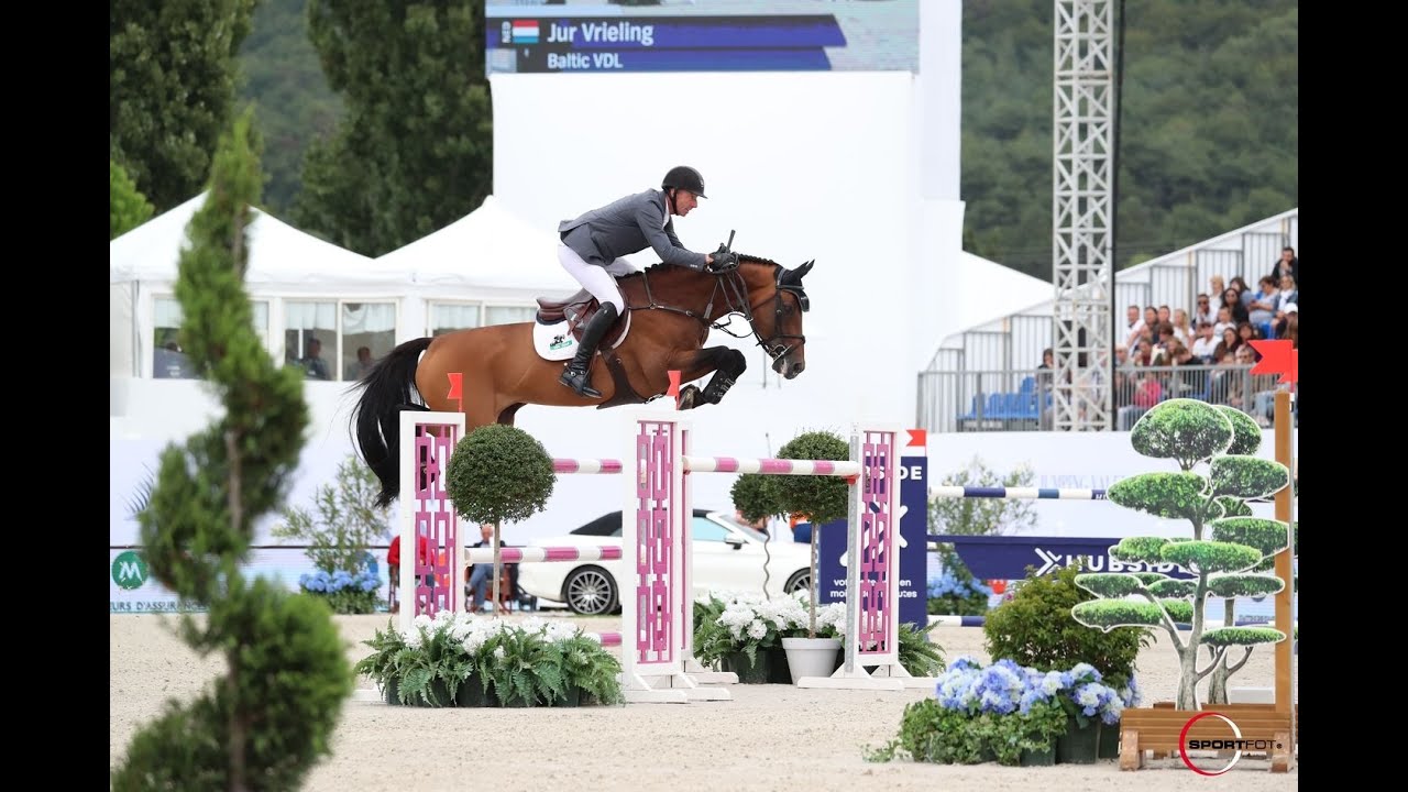 Baltic 'Keur' VDL Stud Stallion Show 2021