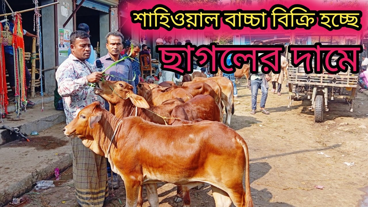 @২৪/১১/২৫