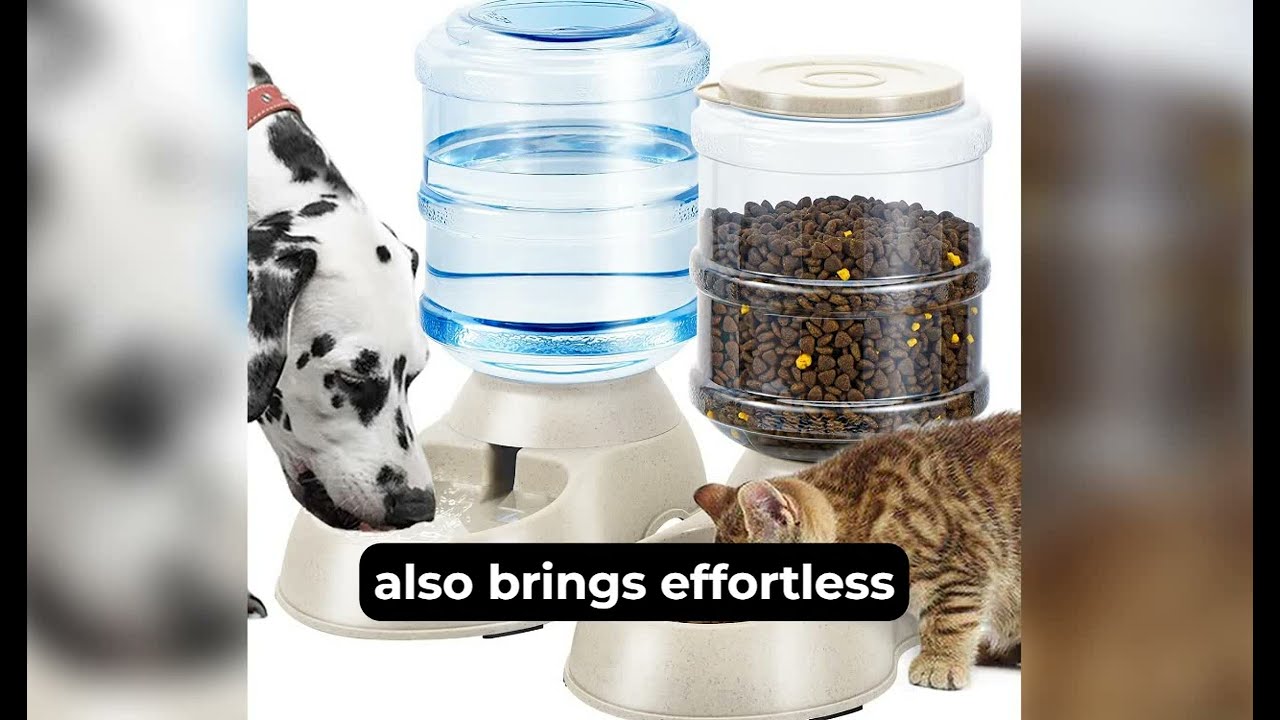 2 Pack Automatic Feeder & Water Dispenser: Perfect for Multi-Pet Homes #petfeeder #petsupplies