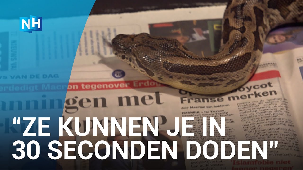 Voor Rob en Bianca is werken met (dodelijke) reptielen de normaalste zaak van de wereld