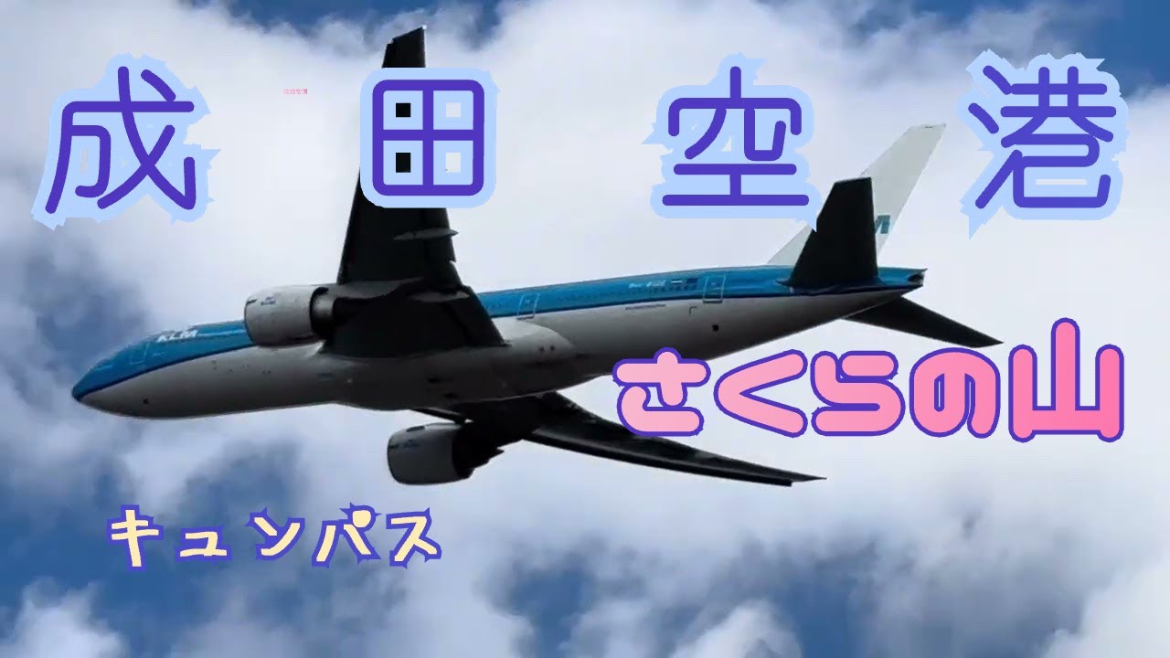 キュンパスで成田空港のさくらの山に航空機✈️を見に行ってきた
