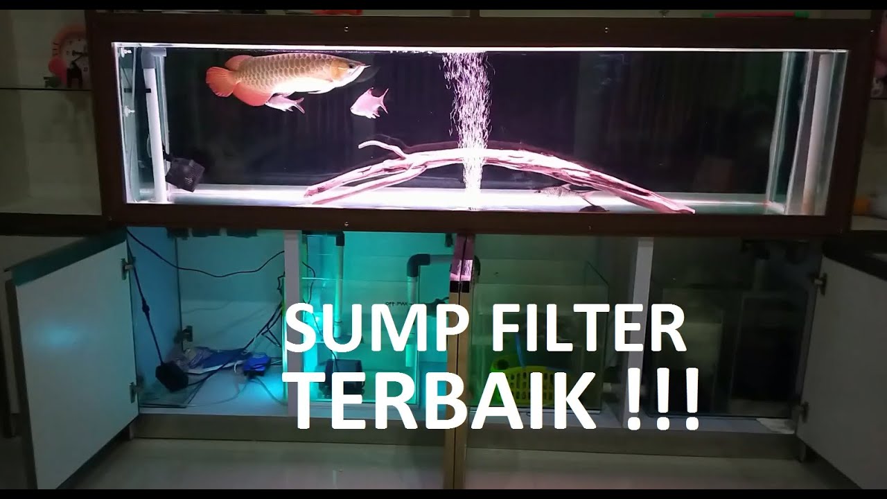 SUMP FILTER AQUARIUM